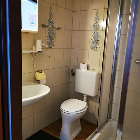 Πανσιόν Goldene Krone Mistelbach